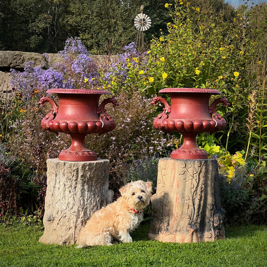 Pair of English Cast-Iron Urns with Dragon Handles