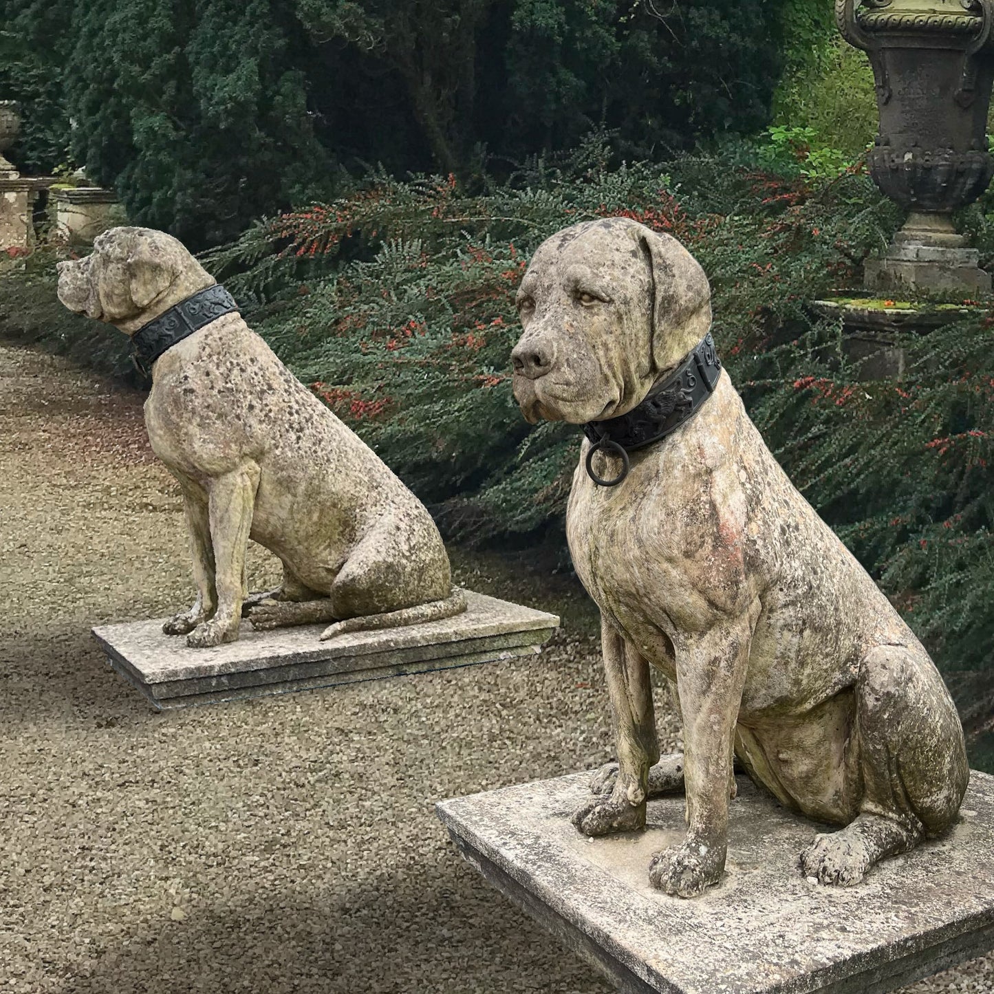 Pair of English Mastiff Guardian Statues with Bronze Collars