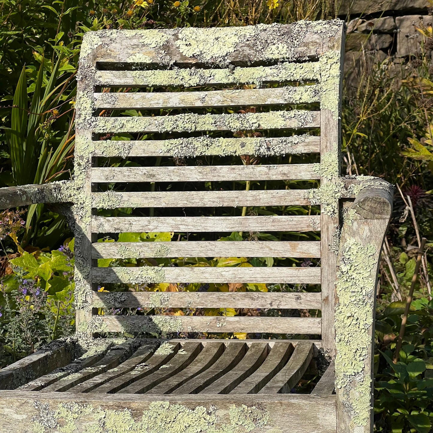 Pair of Teak Chairs with Incredible Lichens Mid-20th Century