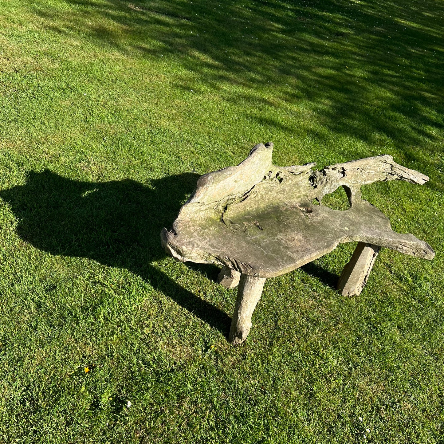 Primitive Organically Formed Root Bench