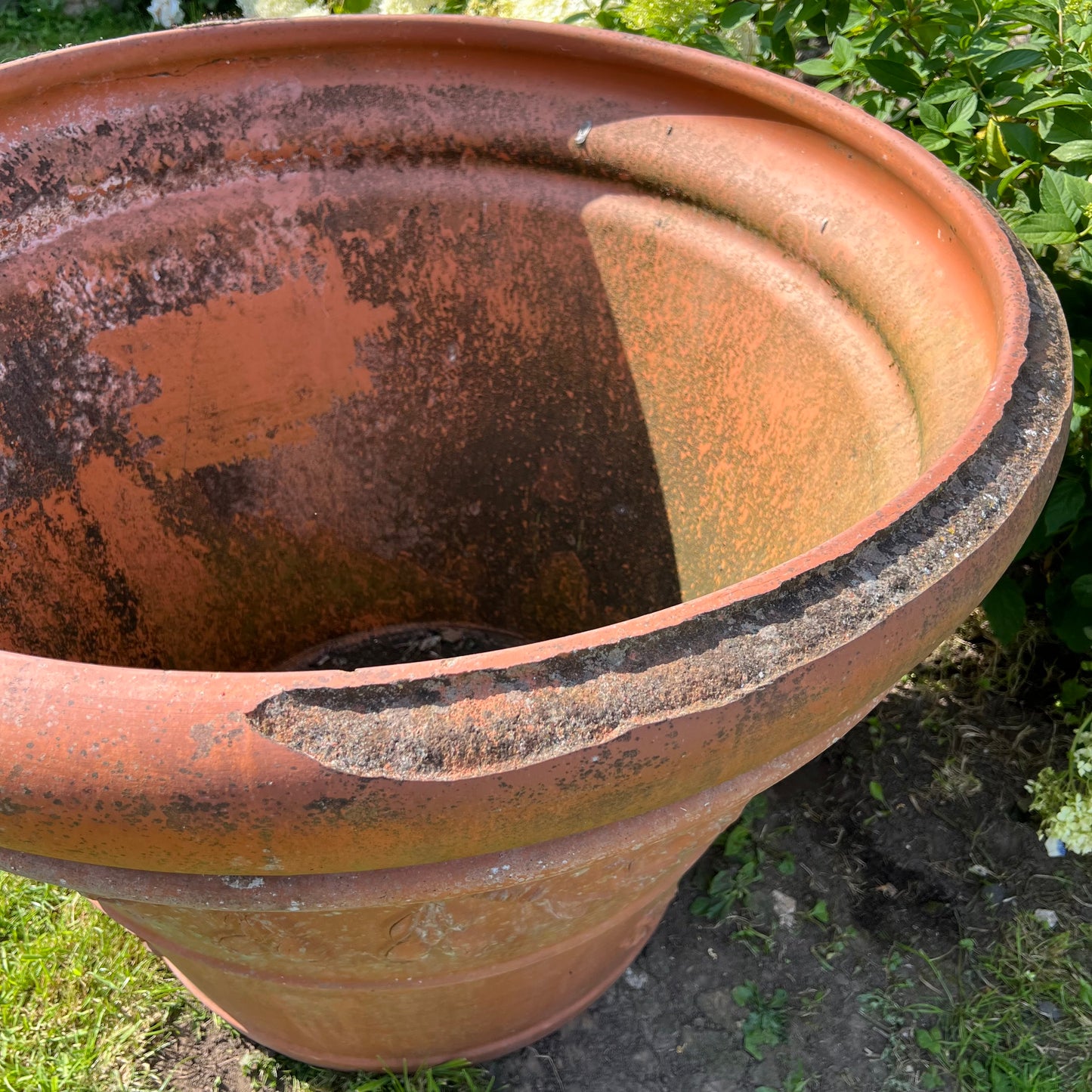Huge Terracotta Planter