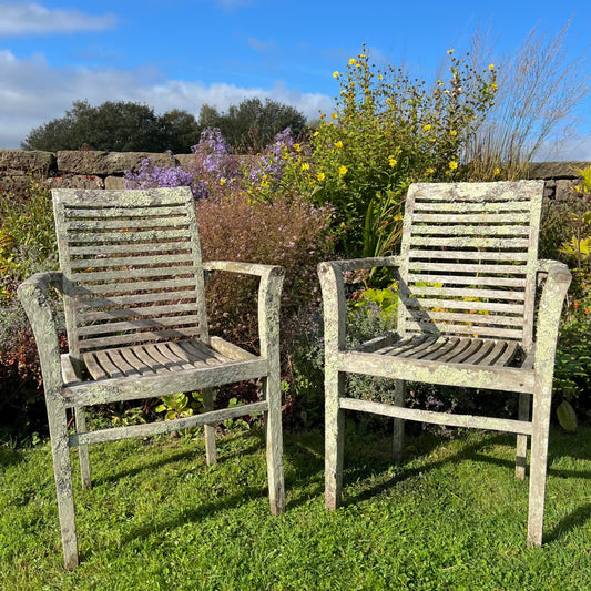 Pair of Teak Chairs with Incredible Lichens Mid-20th Century