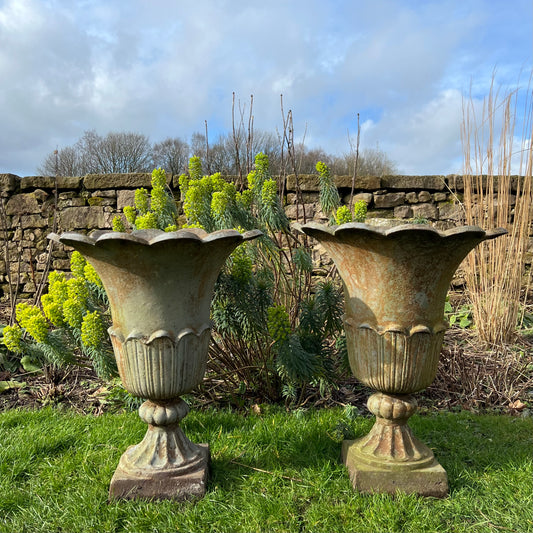 Pair of English Tulip Shaped Cast Iron Urns c.1880