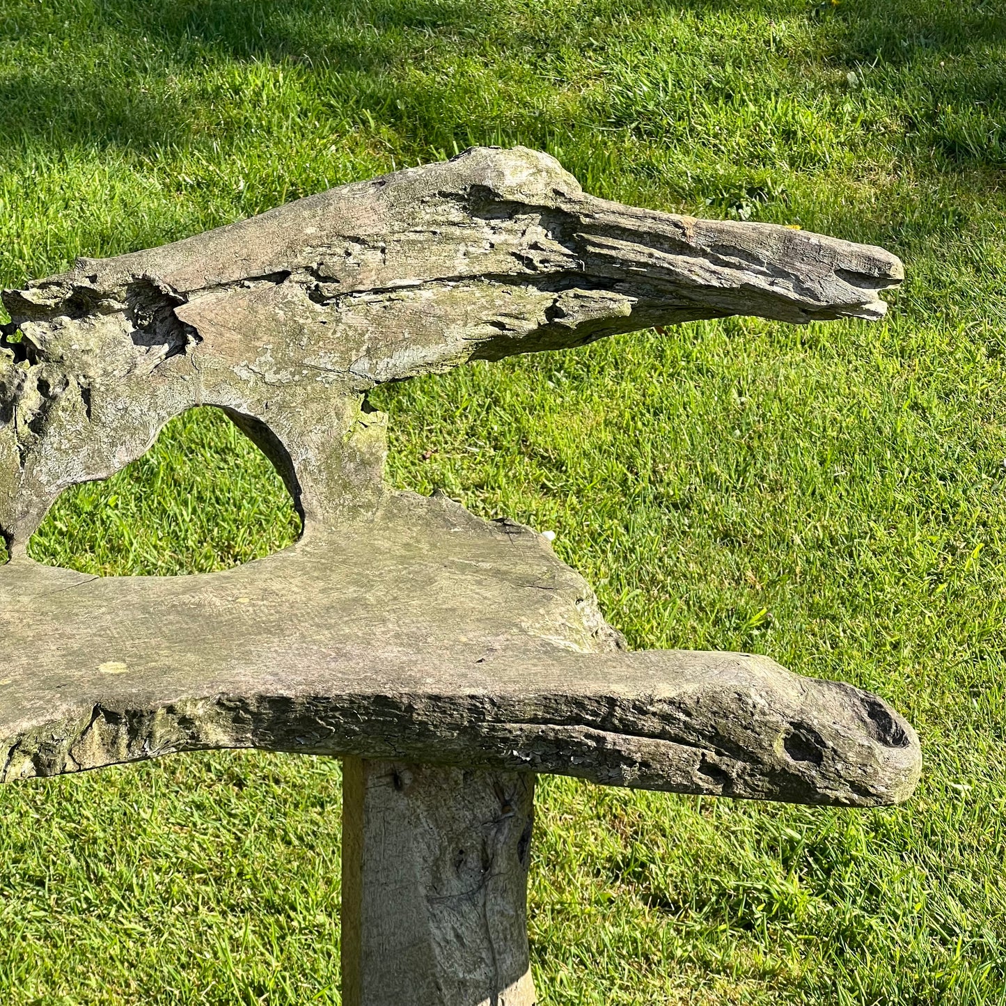 Primitive Organically Formed Root Bench