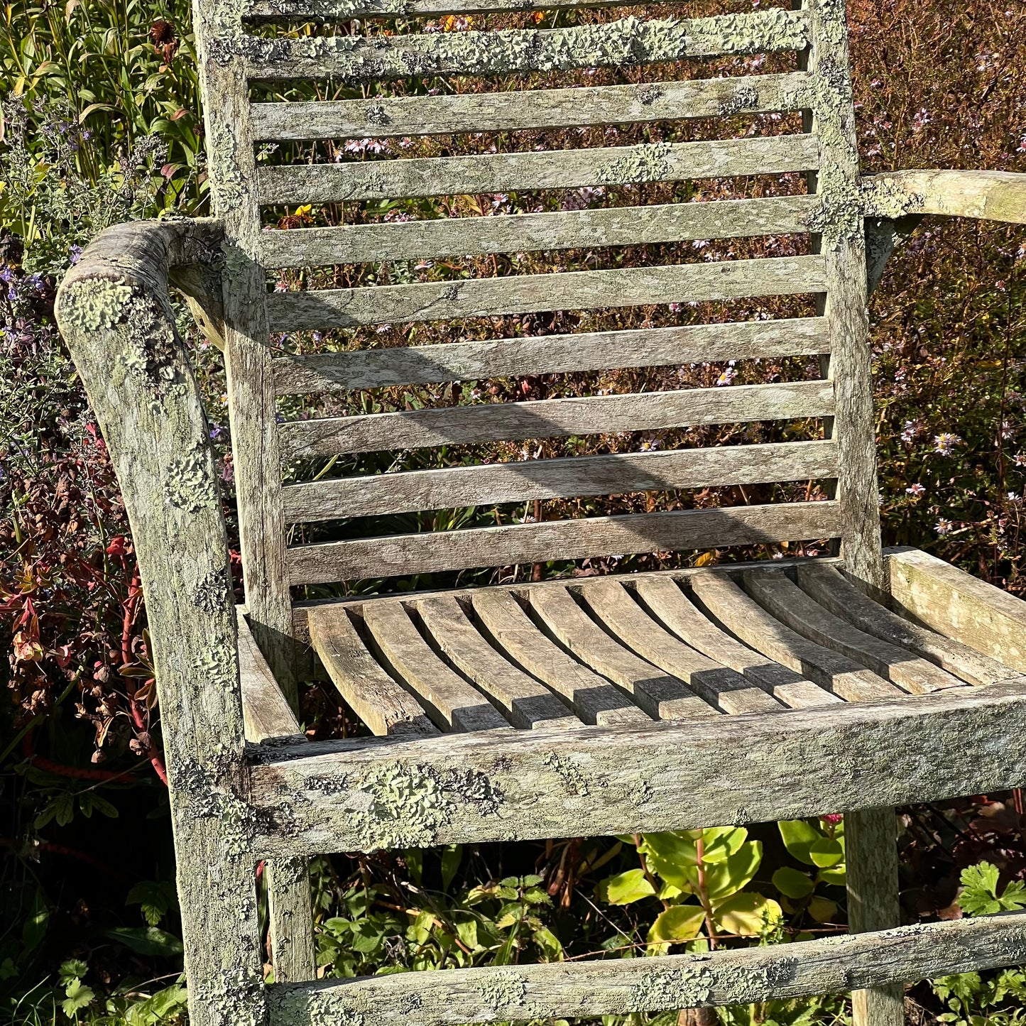 Pair of Teak Chairs with Incredible Lichens Mid-20th Century