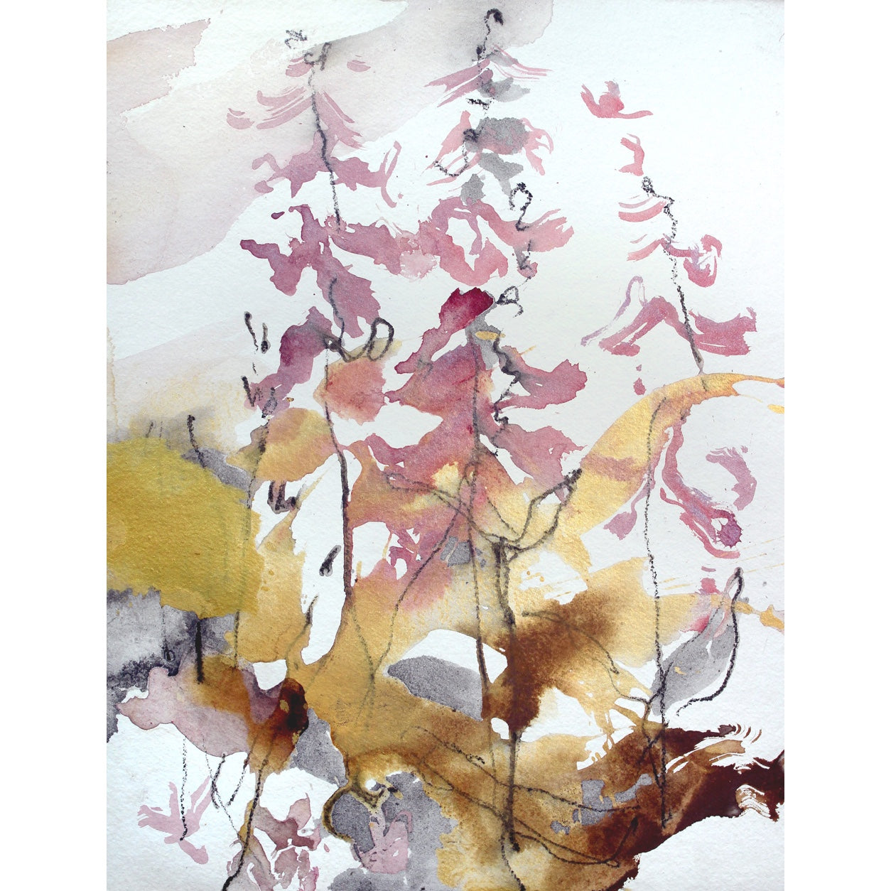 Chloë Holt RCA FRSA - “Digitalis In Lumine” (Foxgloves In Light)