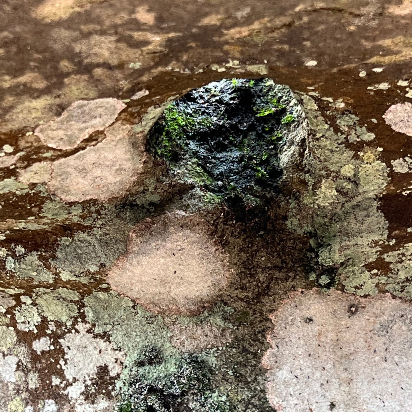 Monumental Roman Basin or Lavabo from Furness Abbey