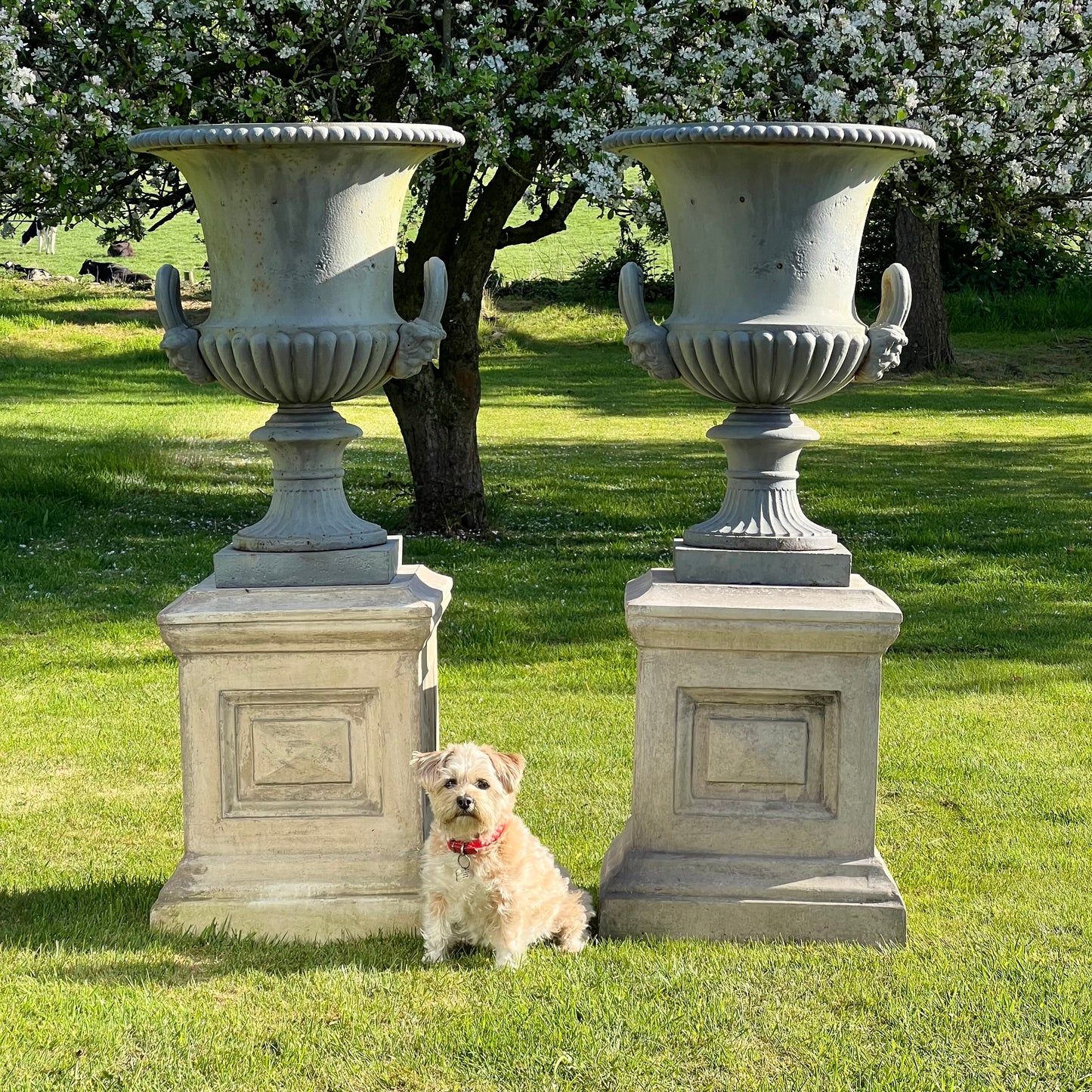 Grand Scale Pair of Handyside Campana Urns & Plinths c.1880