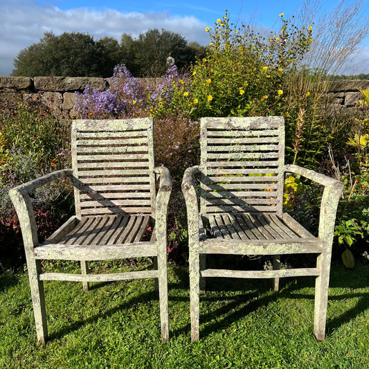 Pair of Teak Chairs with Incredible Lichens Mid-20th Century