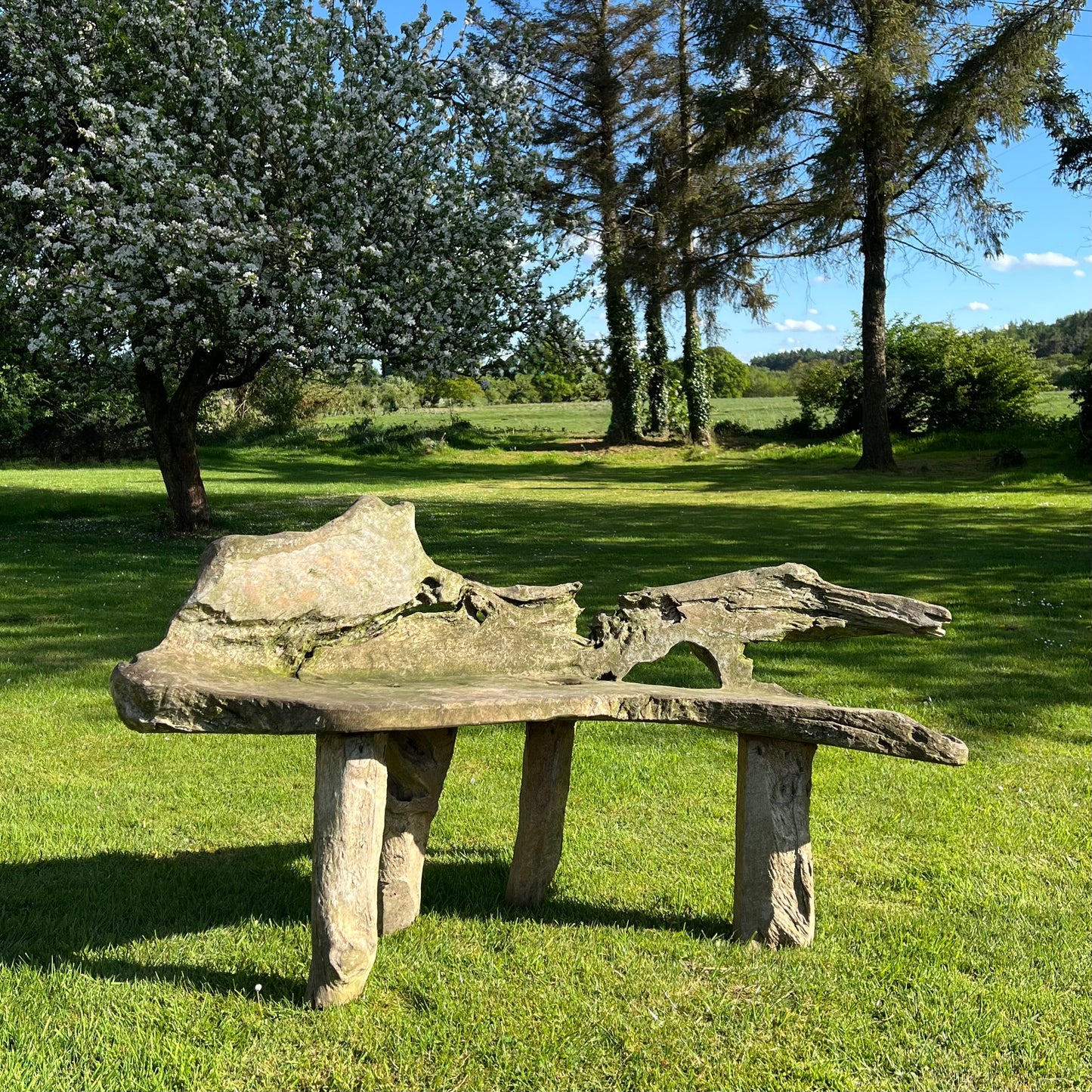 Primitive Organically Formed Root Bench
