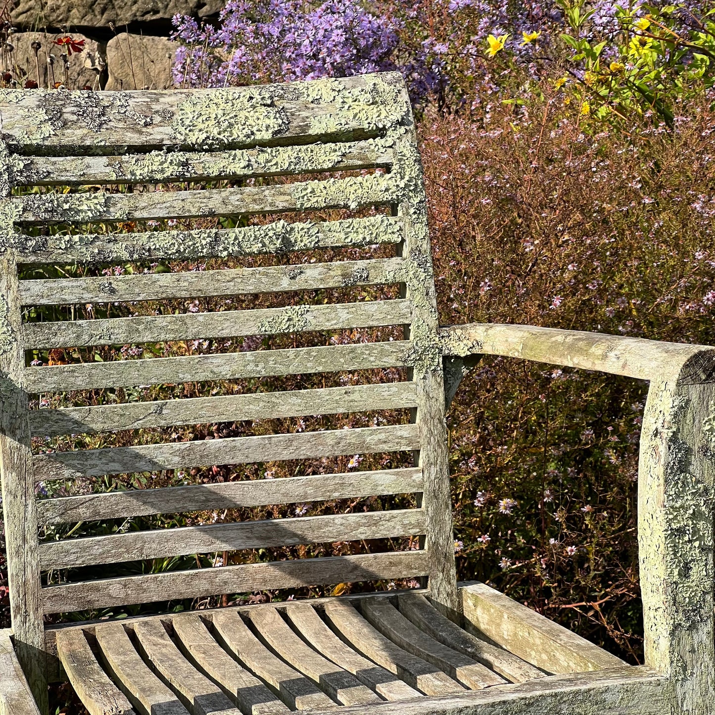 Pair of Teak Chairs with Incredible Lichens Mid-20th Century