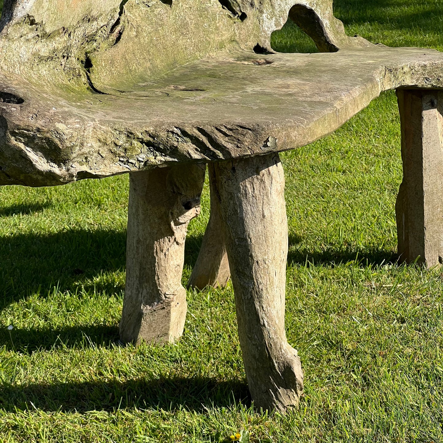 Primitive Organically Formed Root Bench
