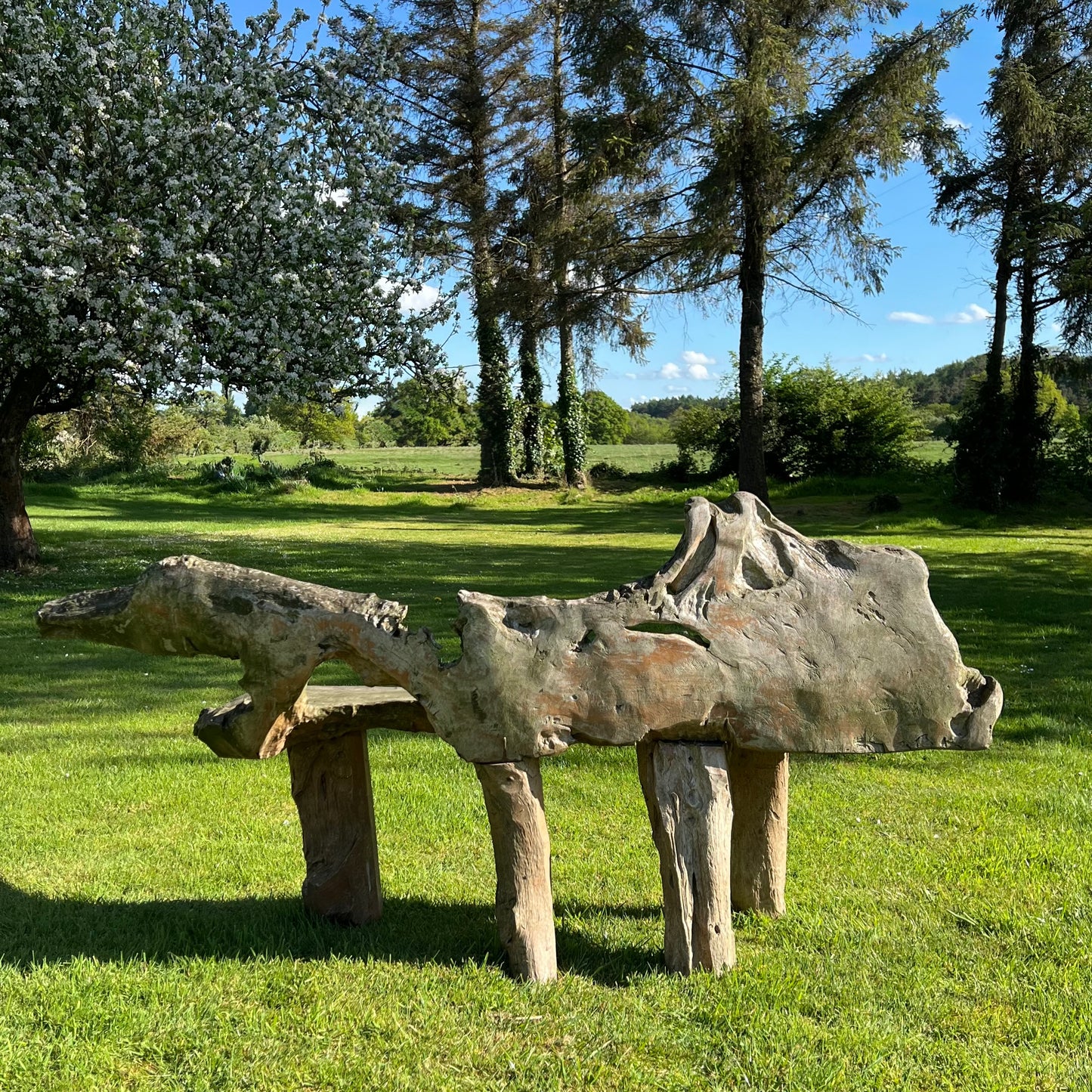 Primitive Organically Formed Root Bench