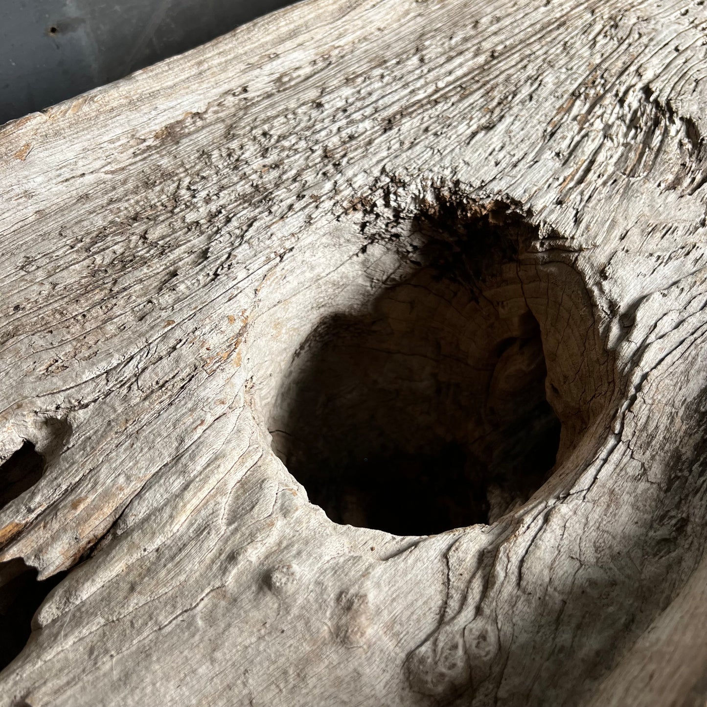 Primitively Formed Naga Grinding Table