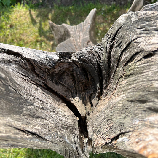 Primitive Star-Form Root Chair Mid 20th Century