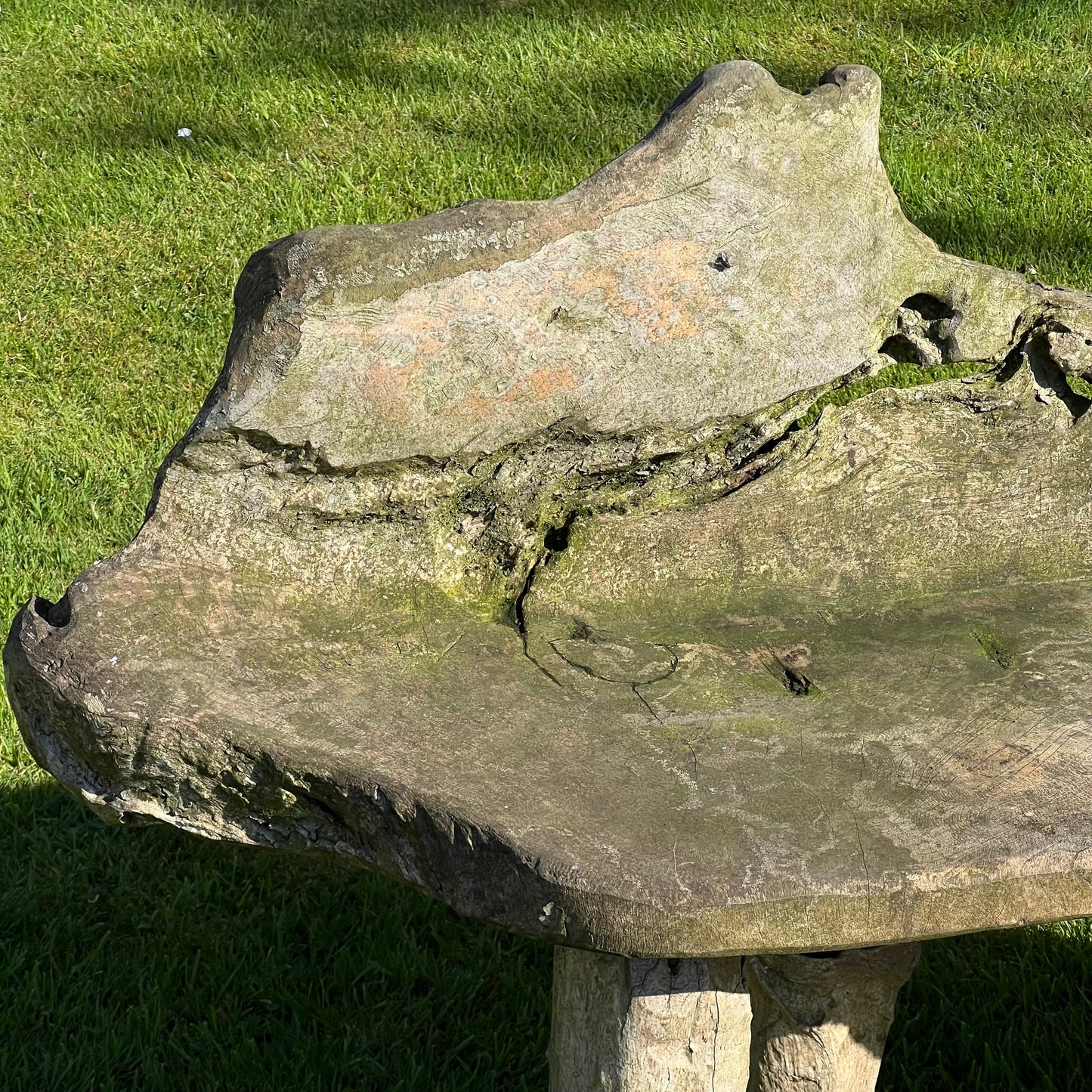 Primitive Organically Formed Root Bench