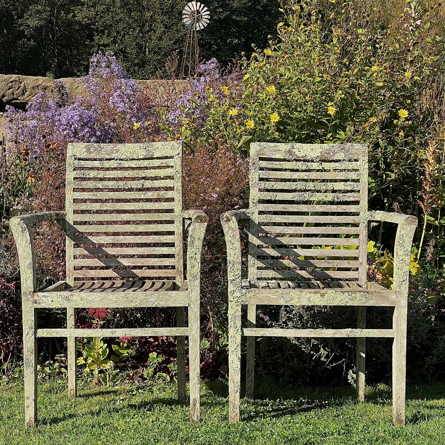 Pair of Teak Chairs with Incredible Lichens Mid-20th Century