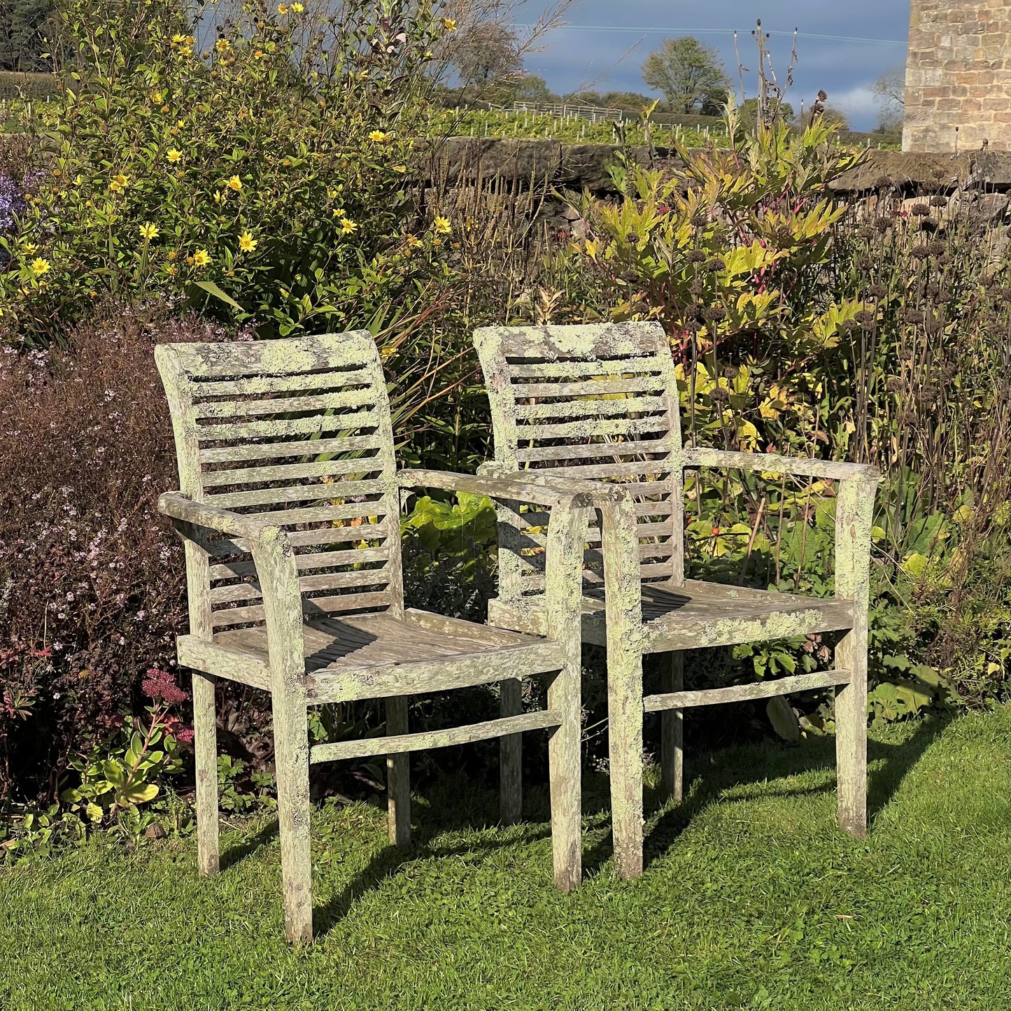 Pair of Teak Chairs with Incredible Lichens Mid-20th Century