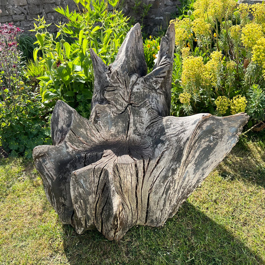 Primitive Star-Form Root Chair Mid 20th Century