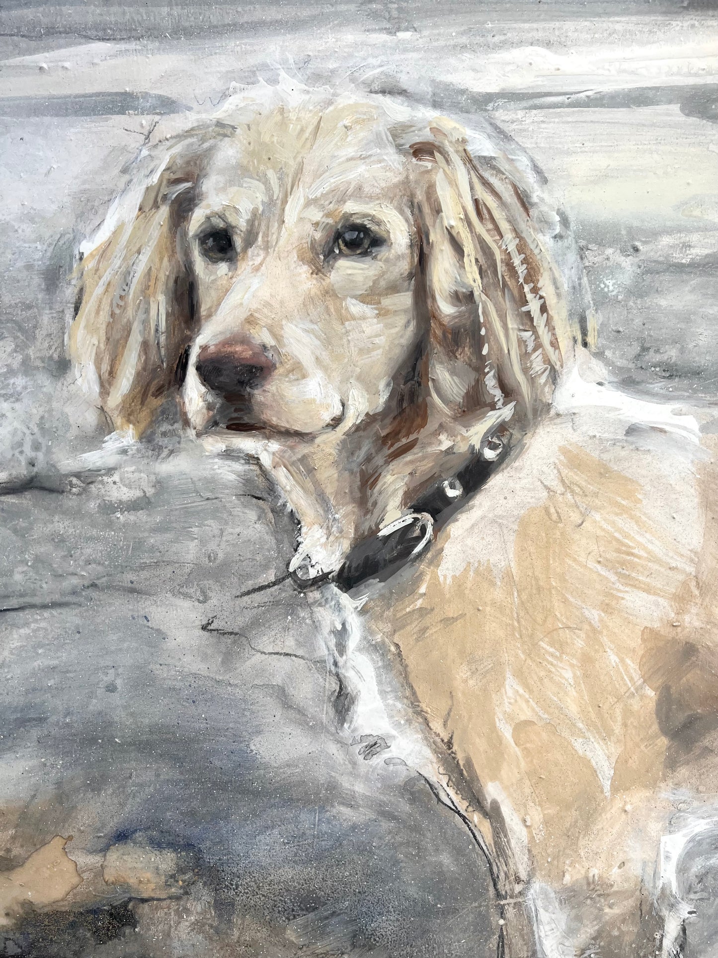 Chloë Holt RCA FRSA - “Honey” Commissioned Dog Portrait