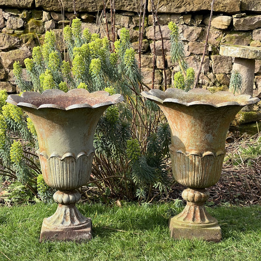 Pair of English Tulip Shaped Cast Iron Urns c.1880