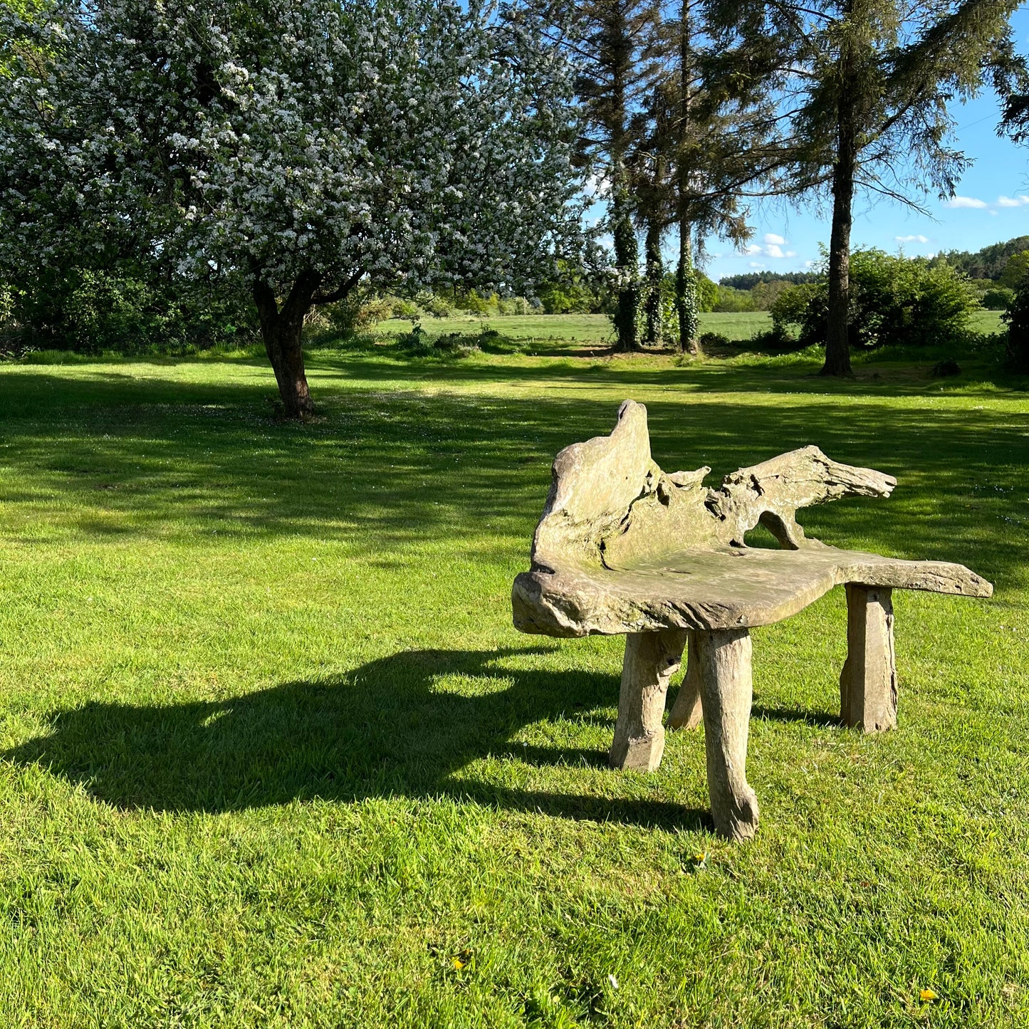 Primitive Organically Formed Root Bench