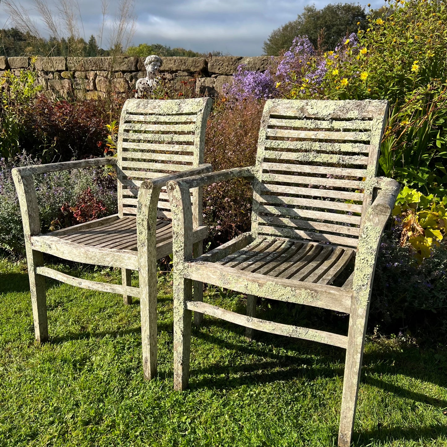 Pair of Teak Chairs with Incredible Lichens Mid-20th Century