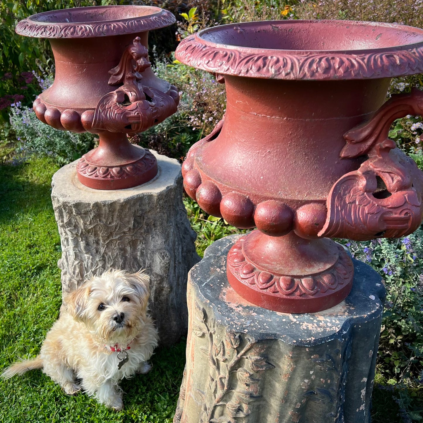 Pair of English Cast-Iron Urns with Dragon Handles