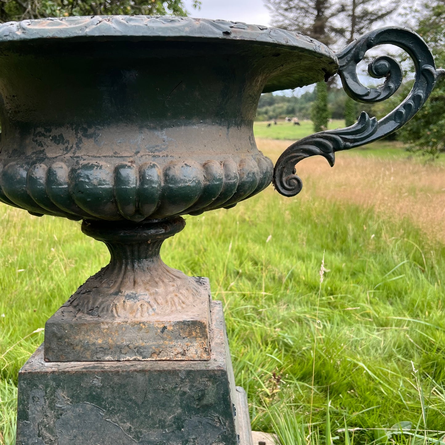 Pair of English Cast Iron Garden Urns with Plinths c.1870