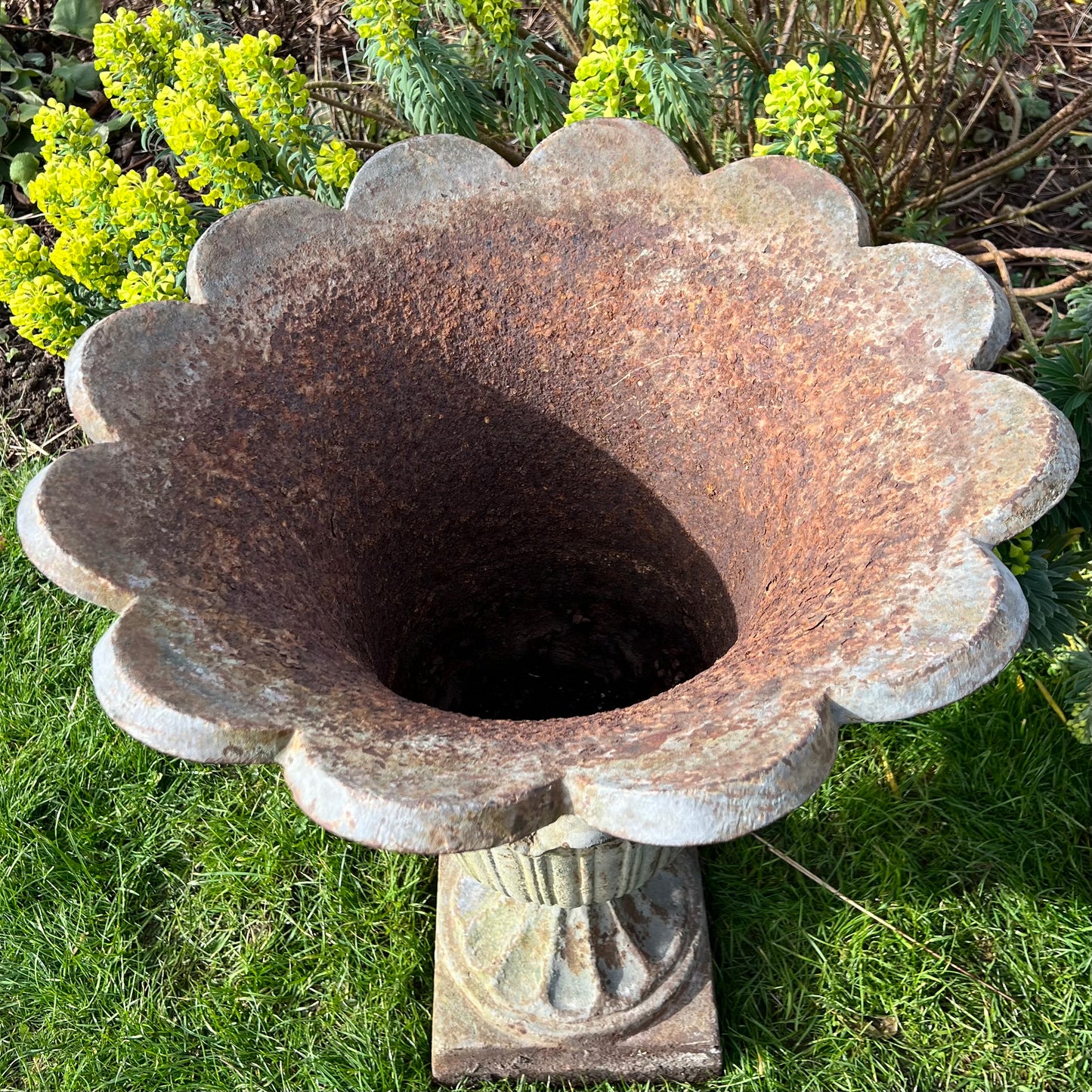 Pair of English Tulip Shaped Cast Iron Urns c.1880