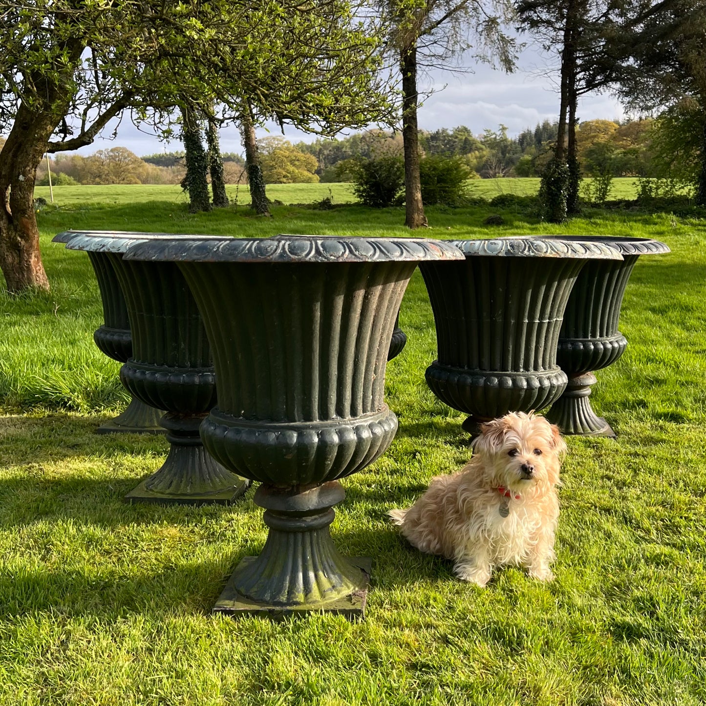 Set of Six Huge French Cast Iron Campana Urns