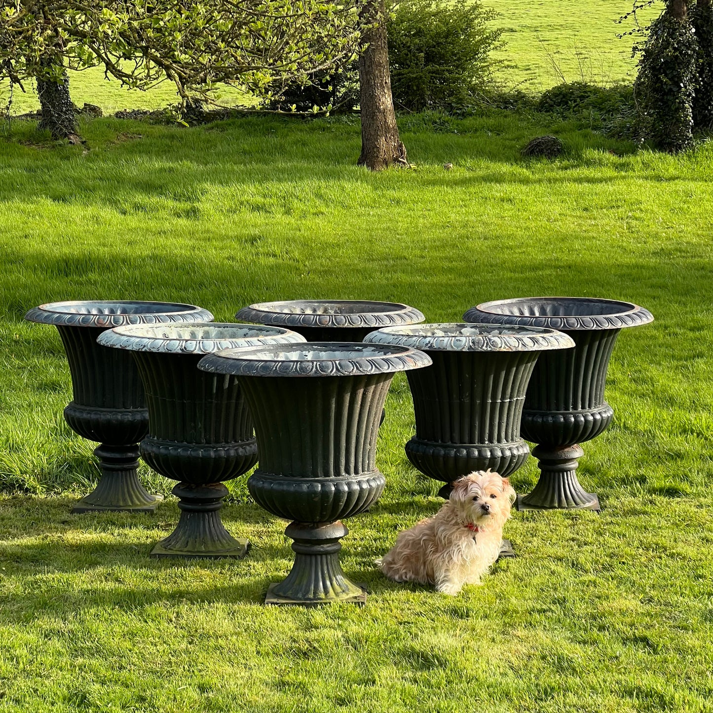 Set of Six Huge French Cast Iron Campana Urns