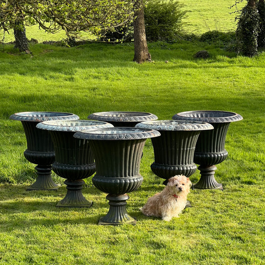 Huge French Cast Iron Campana Urns Available in Pairs