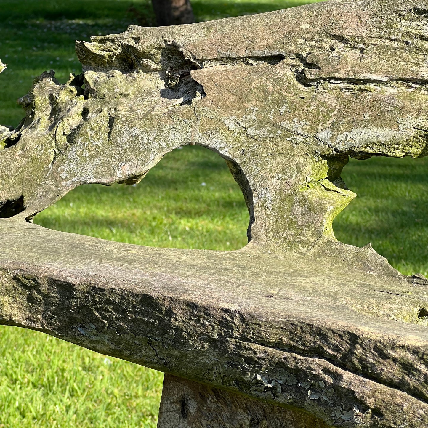Primitive Organically Formed Root Bench