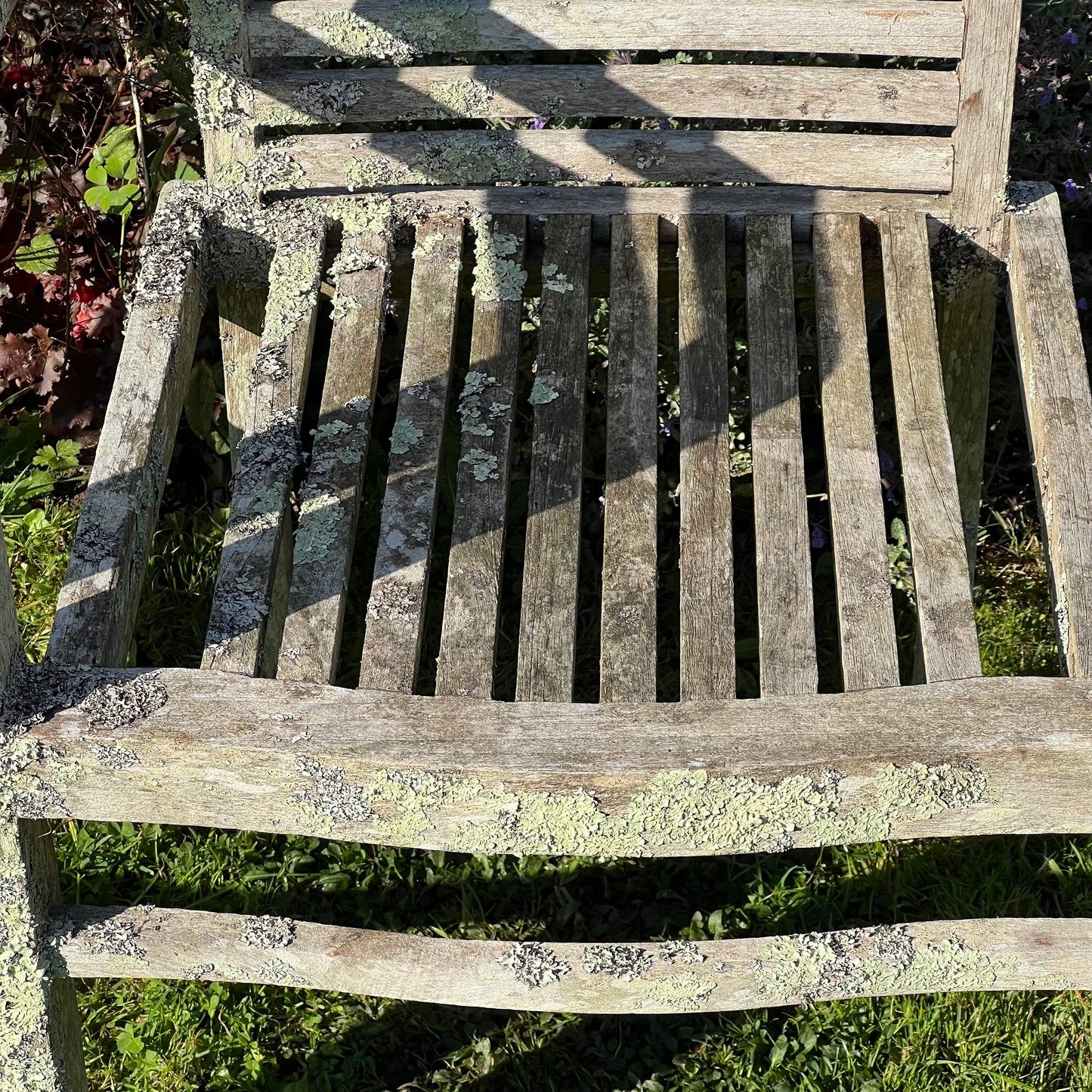 Pair of Teak Chairs with Incredible Lichens Mid-20th Century