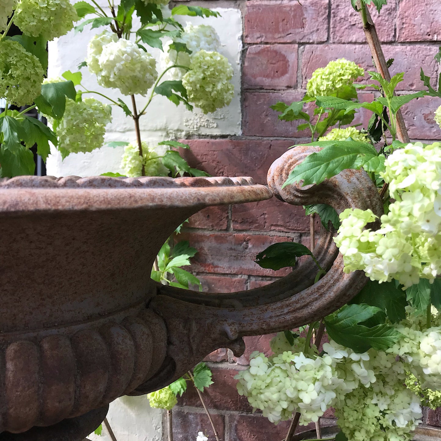 Pair of French Cast Iron Urns with Plinths