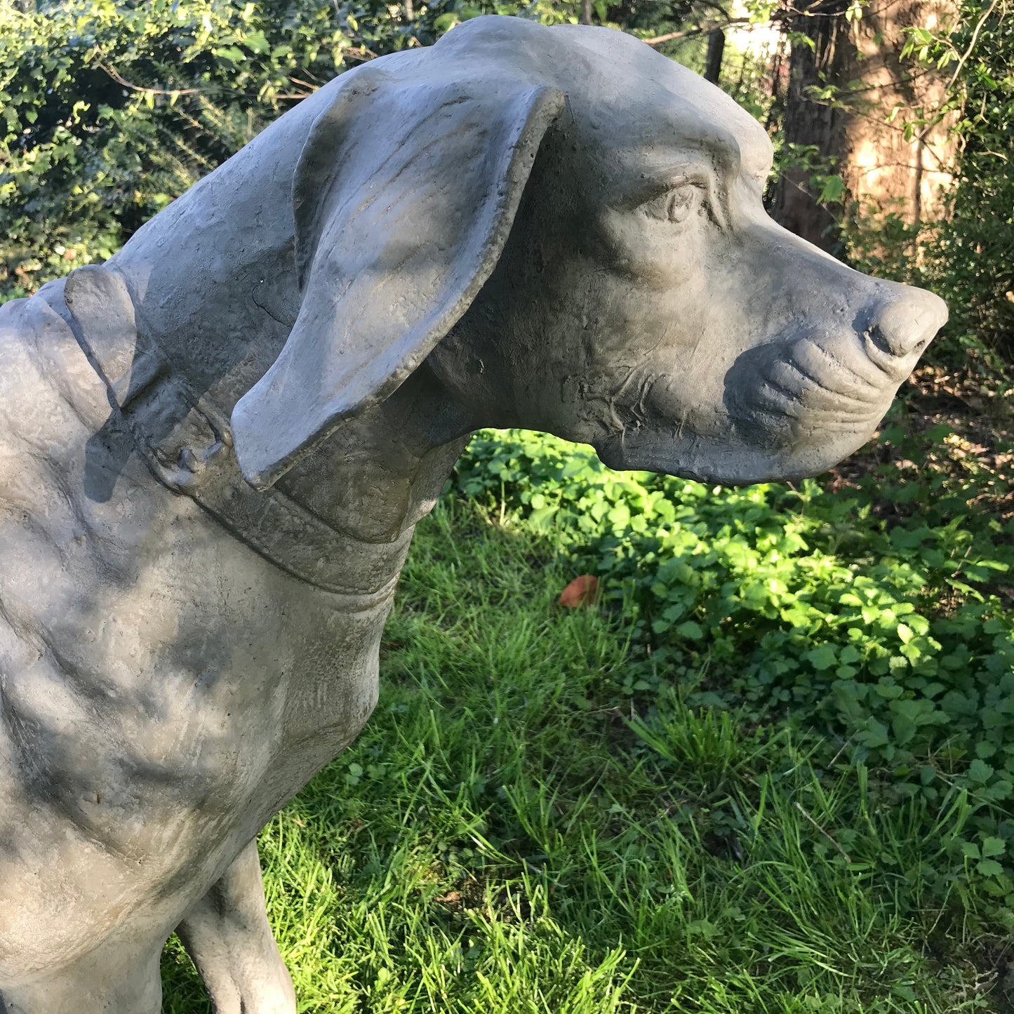 French Cast Iron Hound