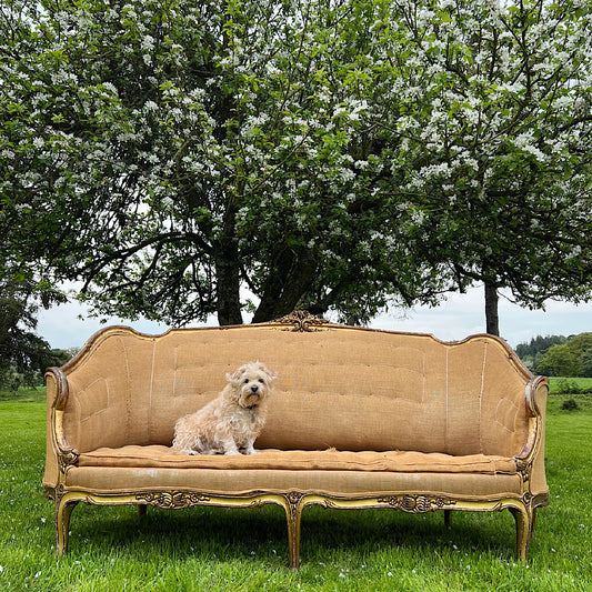 Louis XV period Canapé en Corbeille Settee 18th Century
