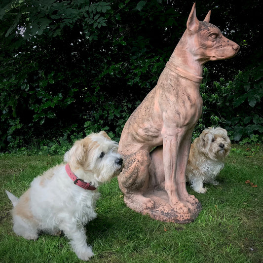 Italian Terracotta Hound