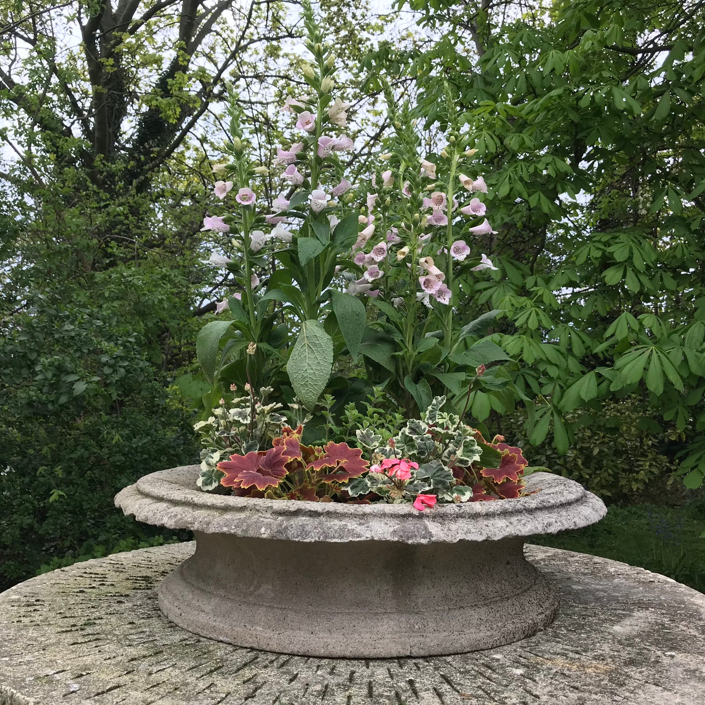 A Grand Scale Pair of Mid-20th Century Tazza Urns