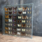 Vintage Butterfly Case III - Formerly Museum Collection Mid 20th Century