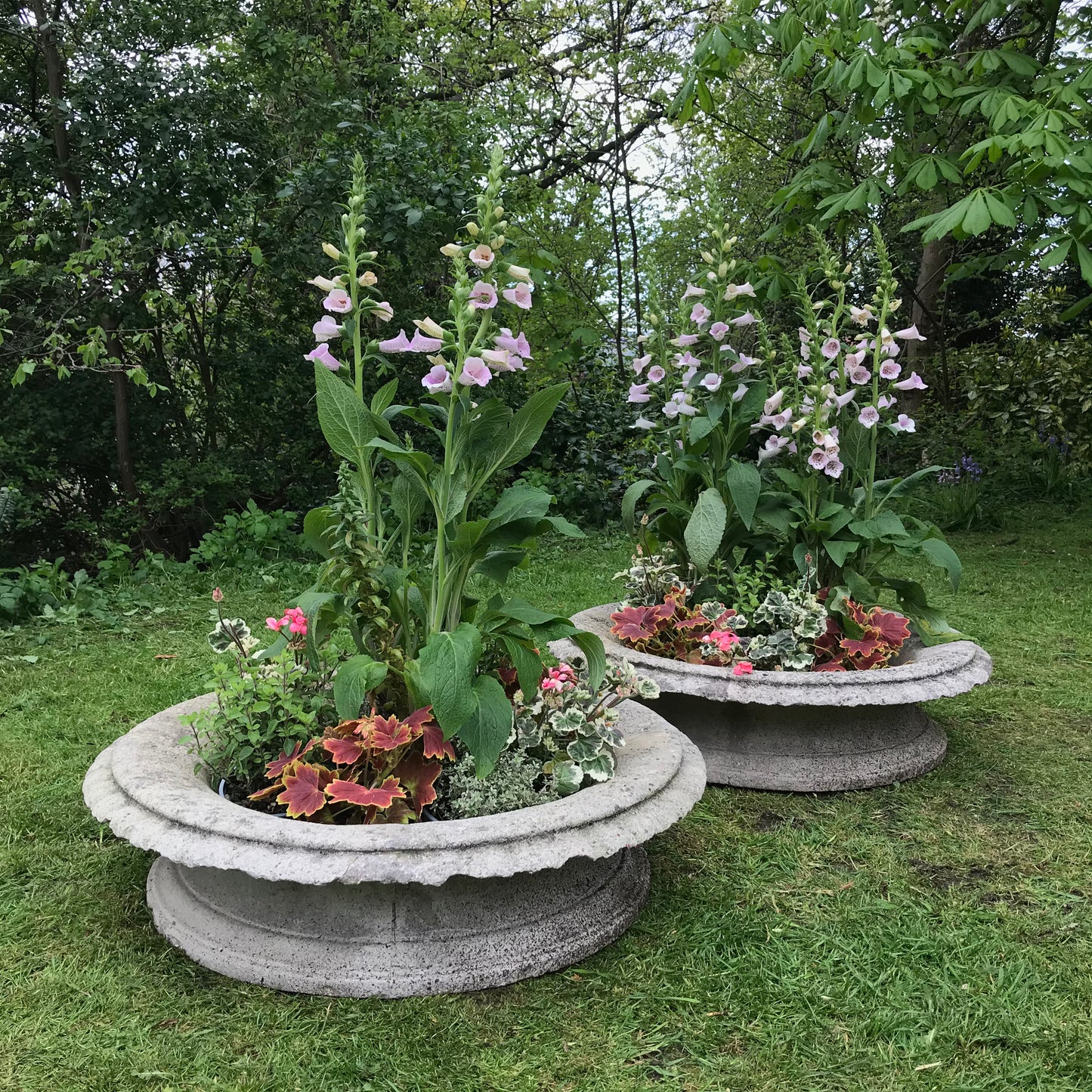 A Grand Scale Pair of Mid-20th Century Tazza Urns