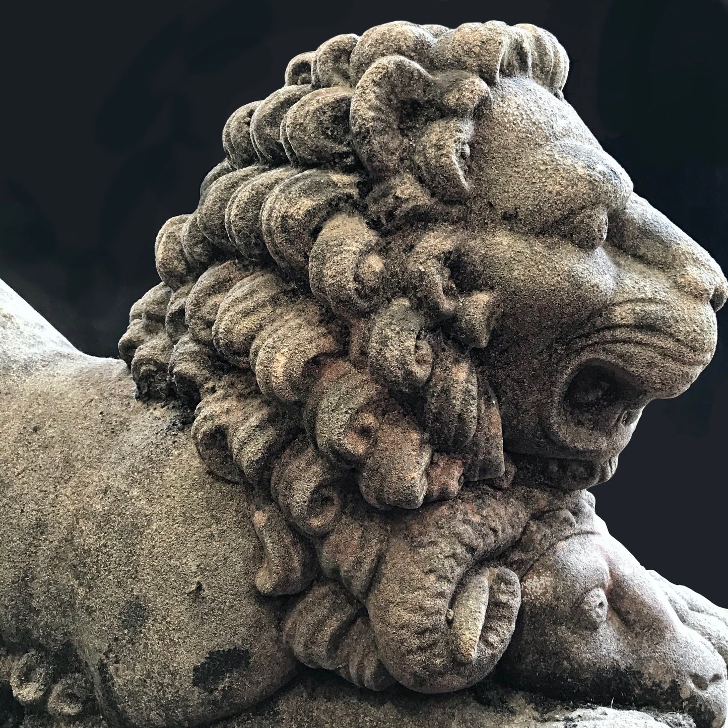 Pouncing Lion Sculpture