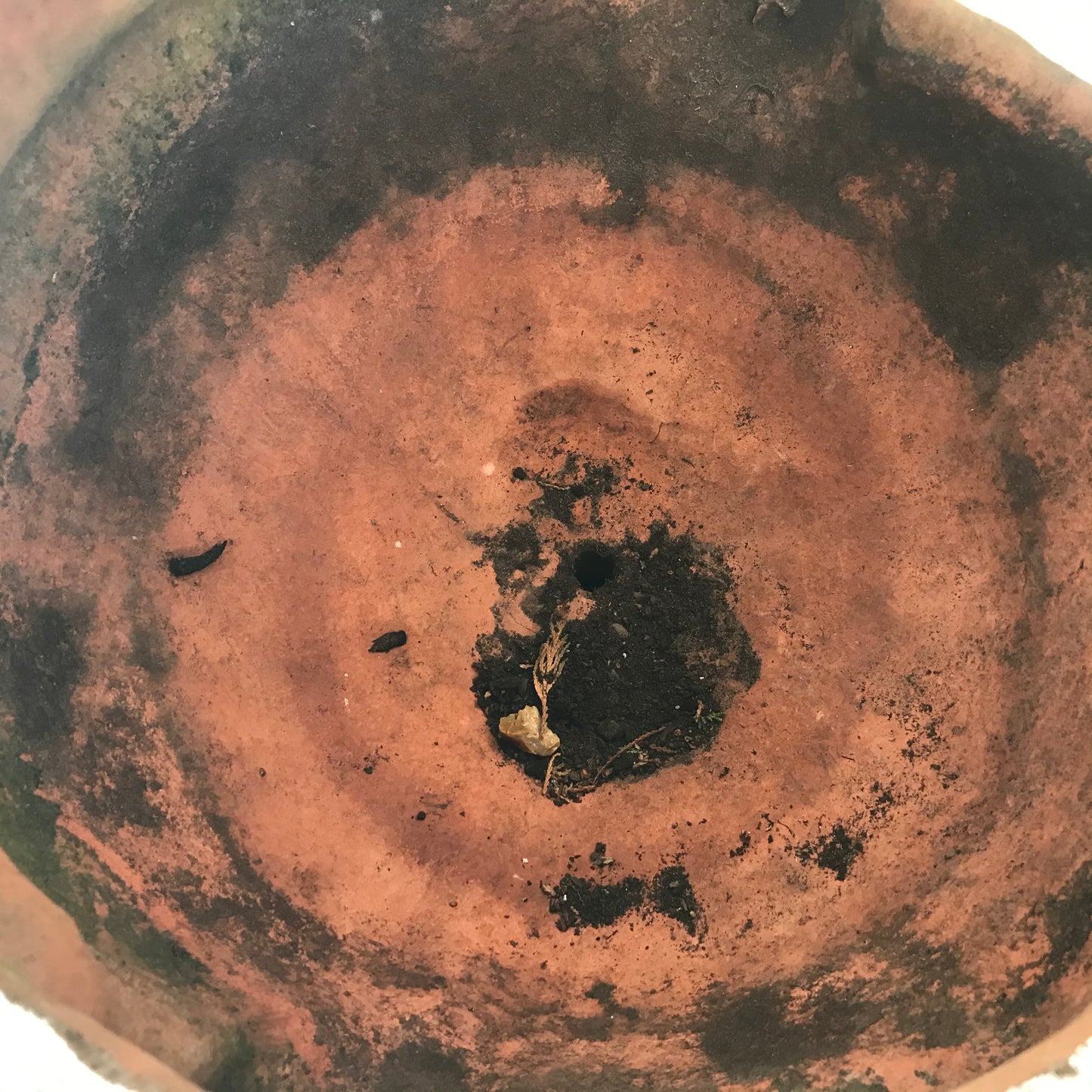 Terracotta Composite Satyr Urn and Plinth