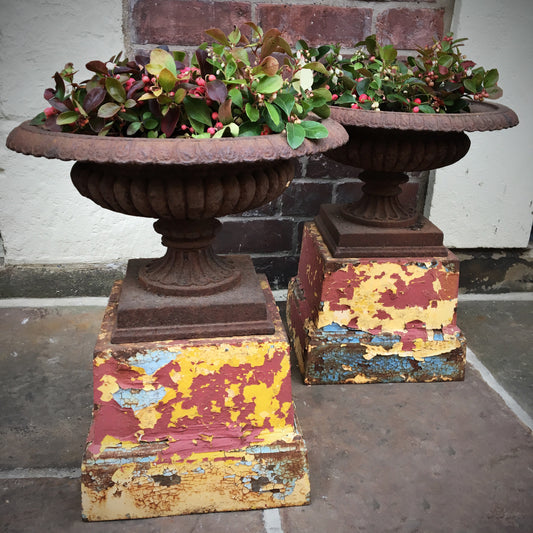 Pair of Cast Urns on Coloured Pedestals