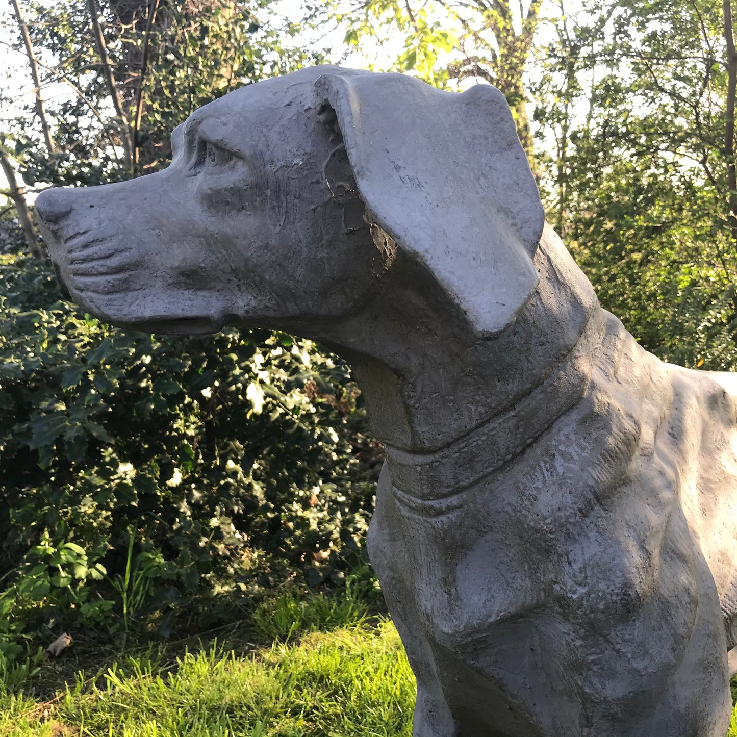 French Cast Iron Hound