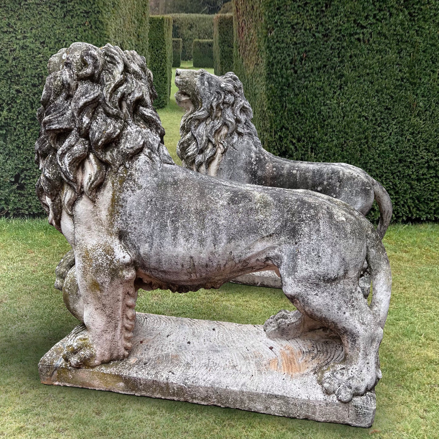 Gigantic Pair of Medici Lion Statues