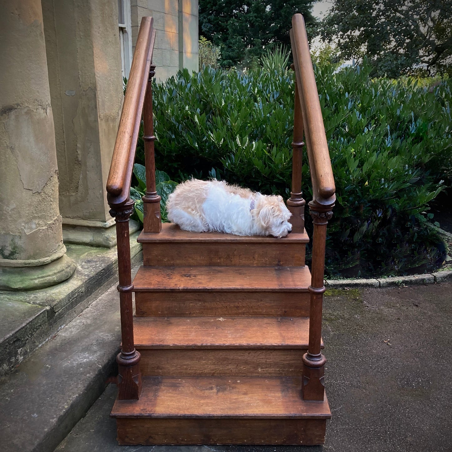 Arts & Crafts Library Steps c.1890