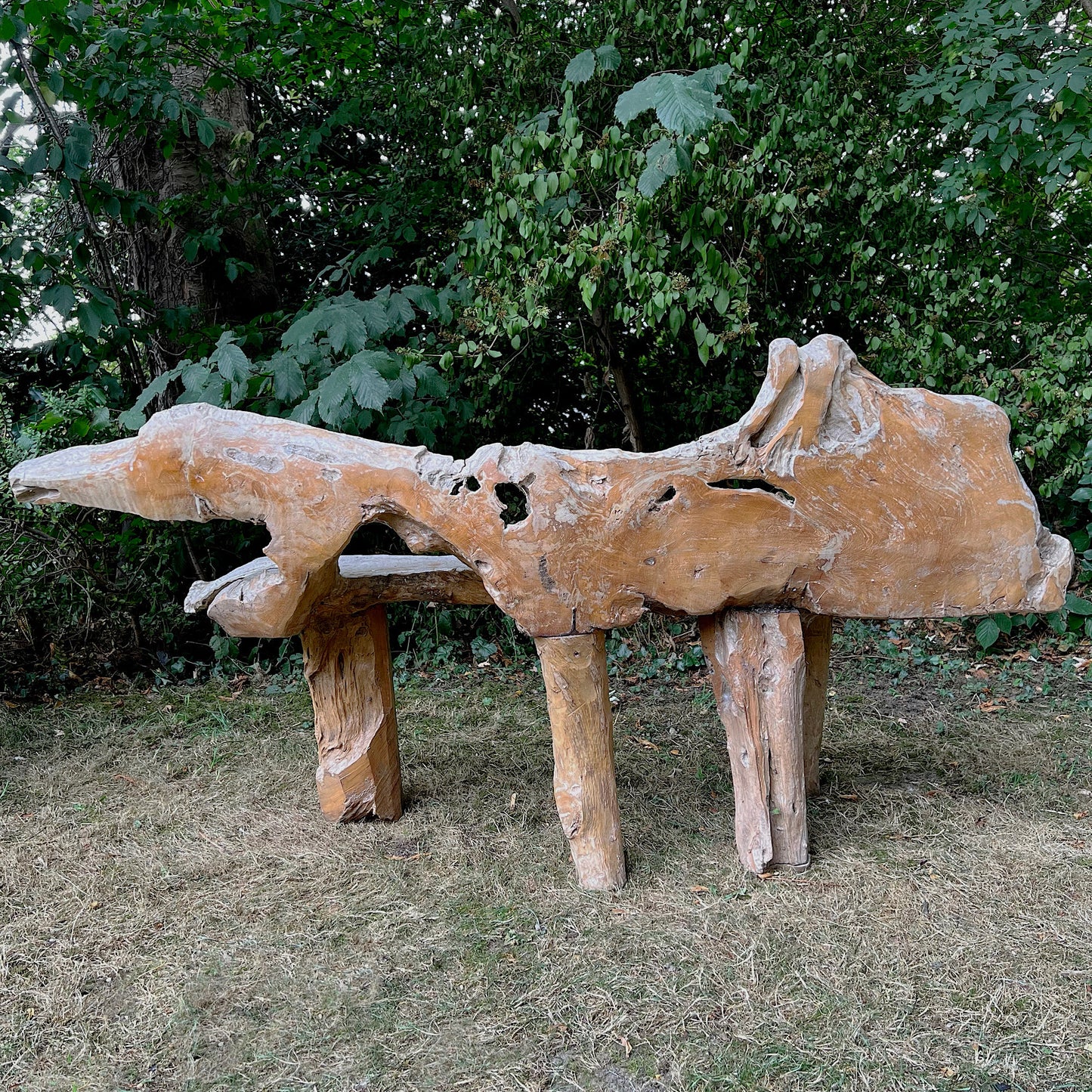 Primitive Organic Formed Root Bench