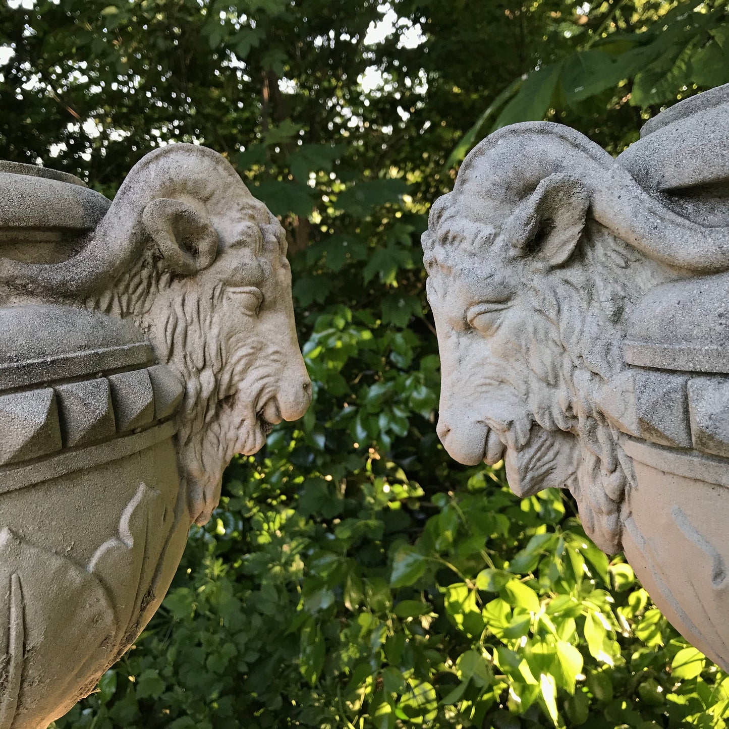 Pair of Rams Head Classical Urns